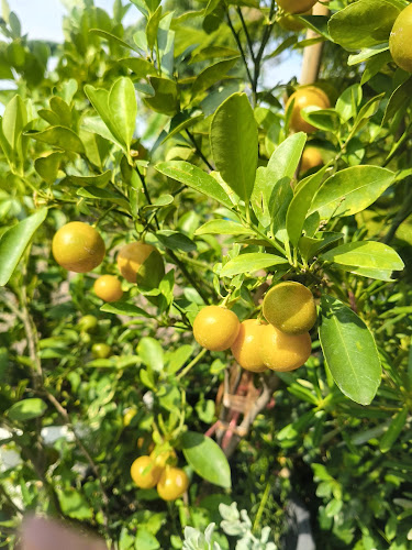 B&T Coffee House - การบริการอาหารและที่พัก