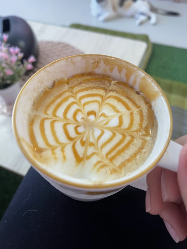 Opinii despre Neko Cat Cafe în Phuket - การบริการอาหารและที่พัก