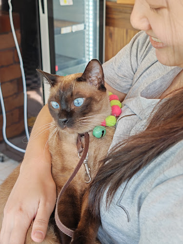 39 ตำบล กระแสบน อำเภอแกลง ระยอง 21110