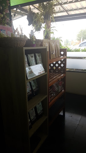 2R6P+98F ถ. สิงหวัฒน์ ตำบล ปากแคว อำเภอเมืองสุโขทัย สุโขทัย 64000