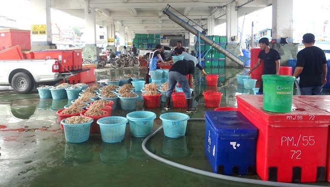 ท่าเทียบเรือประมงสุราษฎร์ธานี