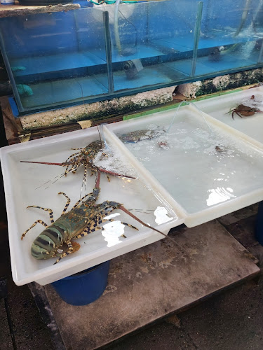 กาแฟนัวๆ@บางลา - อำเภอกะทู้