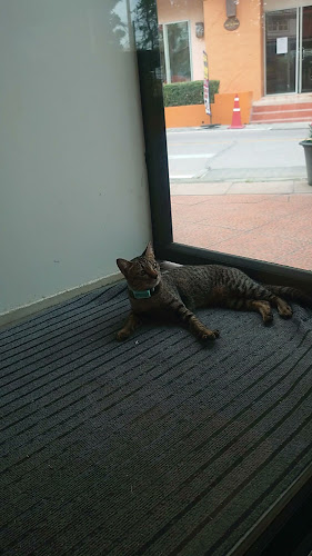 Mistletoe flour & thyme cafe - การบริการอาหารและที่พัก