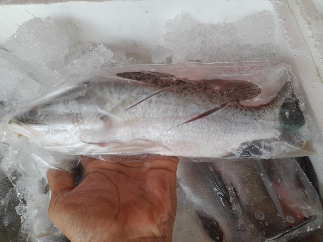 Opinii despre ป.ปลา ซีฟู้ด în เมือง - การบริการอาหารและที่พัก