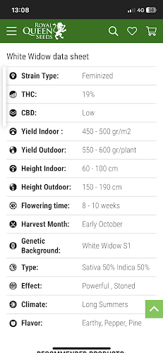 Thai bloom - อำเภอบางละมุง