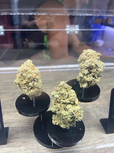 171 ถ. โคกโตนด ตำบล กะรน Phuket, ภูเก็ต 83100