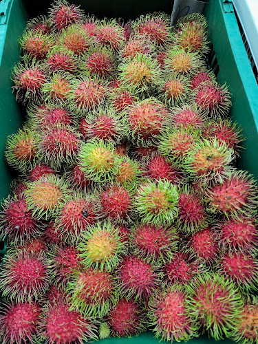 ตำบลพระปฐมเจดีย์ อำเภอเมืองนครปฐม นครปฐม 73000