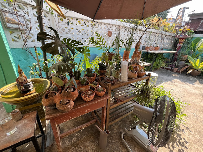 Comentarii opinii despre Brew Is Bliss