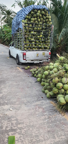 มะพร้าวน้ำหอมพัทยา - การบริการอาหารและที่พัก