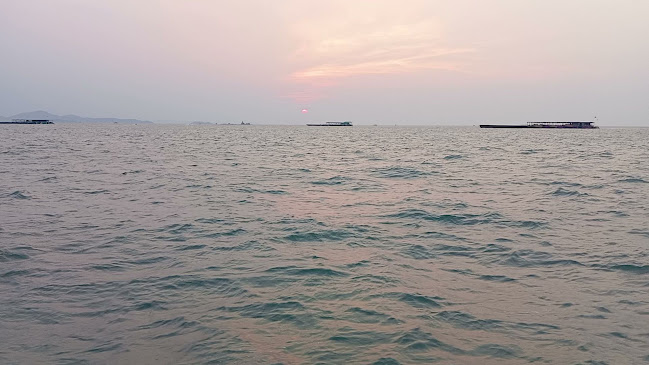 Comentarii opinii despre คาเฟ่ตกหมึกพัทยา Tako Trip