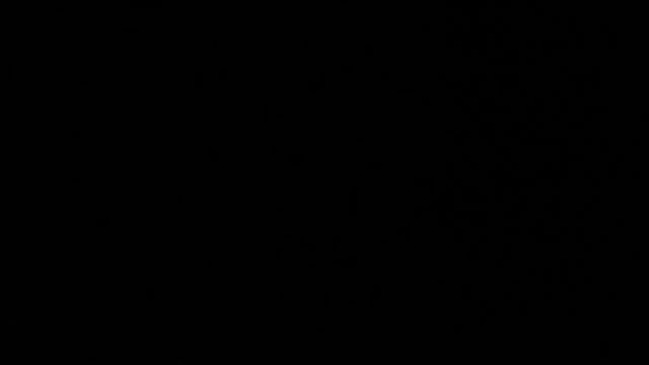 Opinii despre ผัดไทยเจ๊ใส în อำเภอเมืองนครสวรรค์ - การบริการอาหารและที่พัก