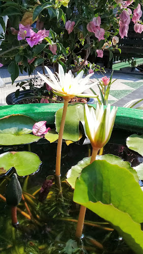 ร้านกาแฟชัยวัฒน์ - อำเภอเมืองอุบลราชธานี