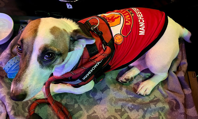 Opinii despre New Bar în อำเภอบางละมุง - การบริการอาหารและที่พัก