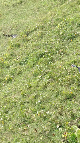 La Maison Ya Nui Resort Phuket - อำเภอเมืองภูเก็ต