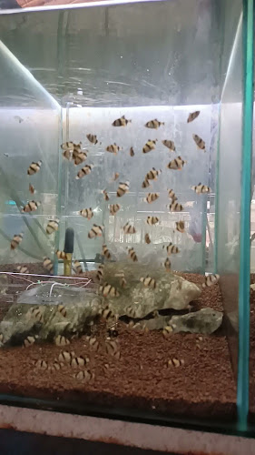 Opinii despre ไนท์พลาซ่าสวนหมาก เทศบาลนครราชสีมา în อำเภอเมืองนครราชสีมา - การบริการอาหารและที่พัก