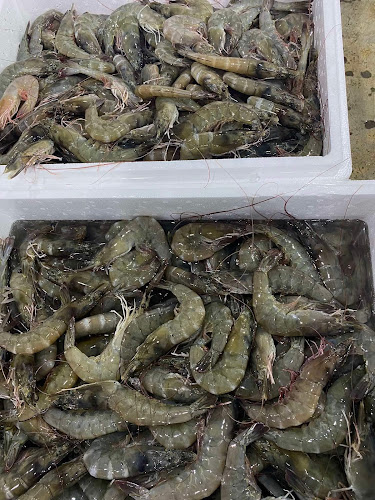 แพเจ้าพ่อกุ้ง มหาชัย - อำเภอเมืองสมุทรสาคร