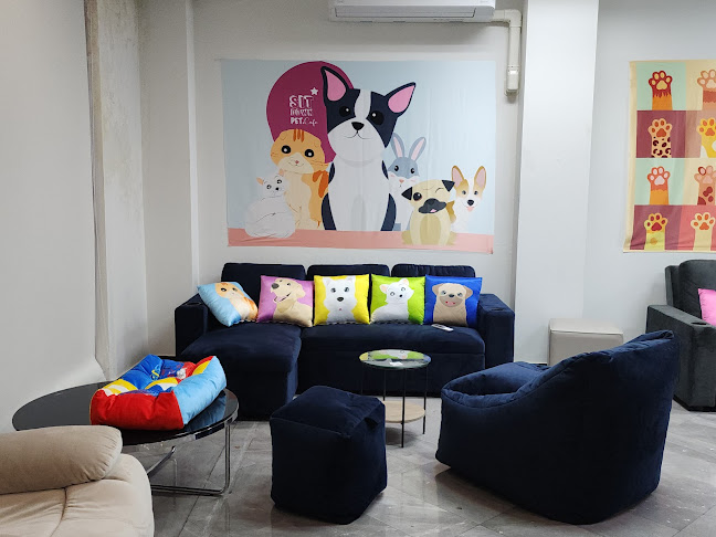Opinii despre Sit Down Pet Cafe în อำเภอปากเกร็ด - การบริการอาหารและที่พัก