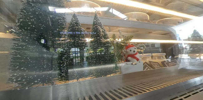 U Cup Coffeebar x Specialty Coffee (ยูคัพ คอฟฟี่บาร์ เอ็กซ์ สเปเชียลตี้คอฟฟี่)