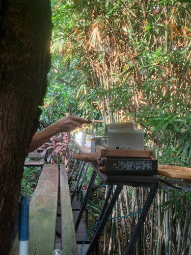 Comentarii opinii despre LIMMIE COFFEE บ้านสุชญา ธรรมรักษ์เจริญ