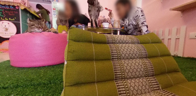 Neko Cat Cafe - การบริการอาหารและที่พัก