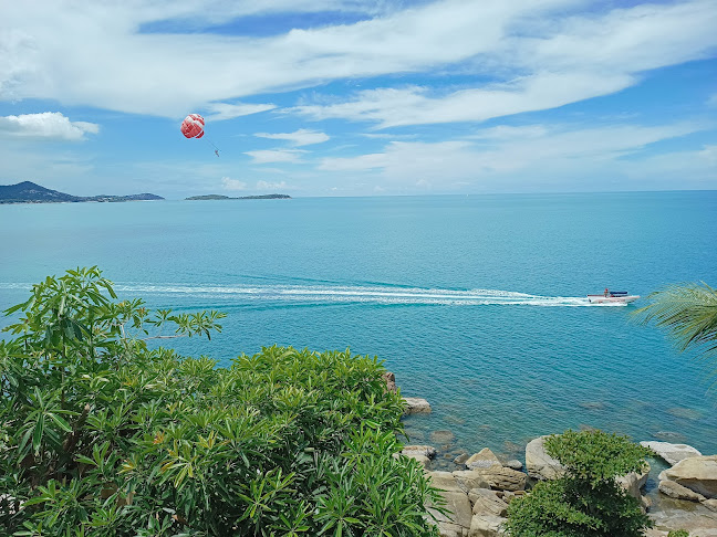 Dr Frogs Bar & Grill - การบริการอาหารและที่พัก