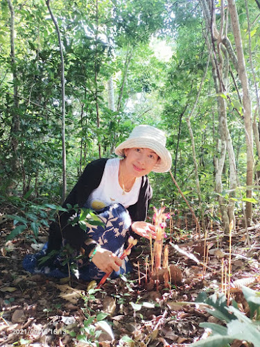 Sathitnimankan Donjik, Piboonmangsahan, 34000