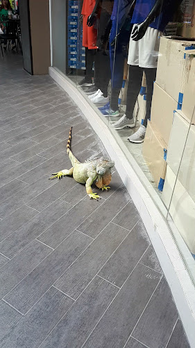 Comentarii opinii despre Starbucks Coffee The Avenue Pattaya