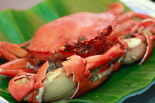 ร้านอาหาร กุ้งเผา 2 - อำเภอเมืองนครสวรรค์