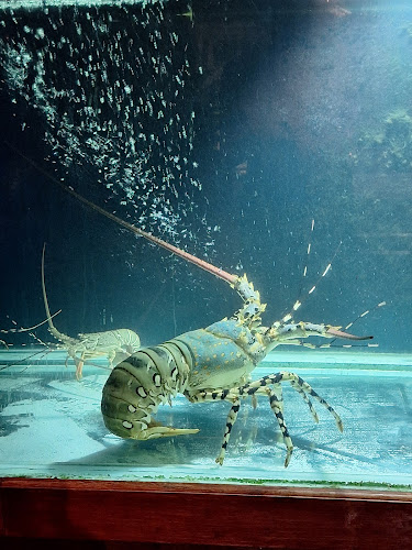 32 1 ซ. ป่าหล่าย ตำบล ฉลอง อำเภอเมืองภูเก็ต ภูเก็ต 83130