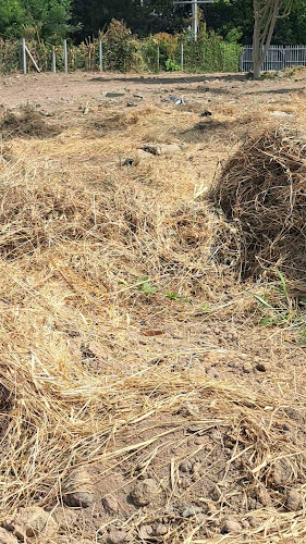 ตลาดกอไผ่ (Khopai market)