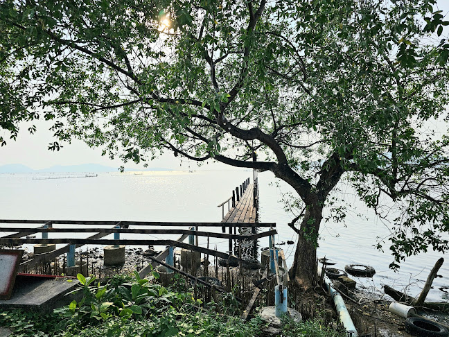 120/224 ม.8 ถ ติณสูลานนท์ ตำบล เขารูปช้าง อำเภอเมืองสงขลา สงขลา 90000