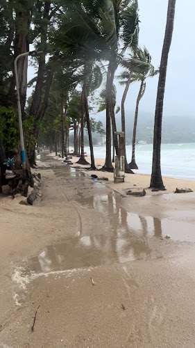 Opinii despre Village Burgers Kamala în อำเภอกะทู้ - การบริการอาหารและที่พัก