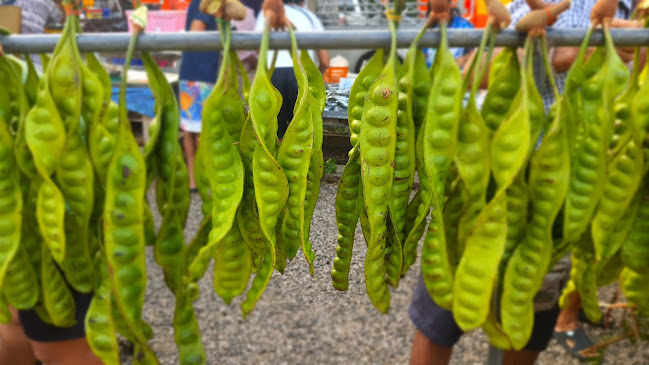 HJ4J+WF7 4045 ตำบล ทับเที่ยง อำเภอเมืองตรัง ตรัง 92000