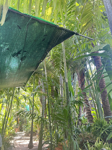 ร้านชมสวน ติ่มซำ อาหารเช้าพัทยา