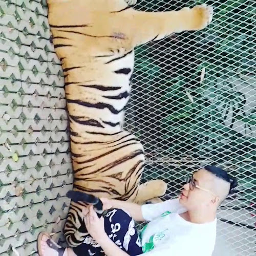 ตลาดโต้รุ่งแม่วิไล - อำเภอบางละมุง