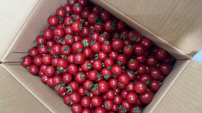 Opinii despre Silenafood Bistro în อำเภอเมืองภูเก็ต - การบริการอาหารและที่พัก