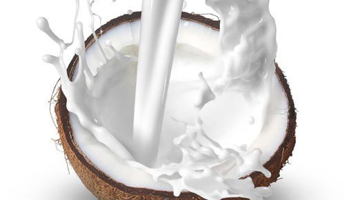 ร้านเครื่องแกงกะทิสด(ลุงบังคง) - การบริการอาหารและที่พัก