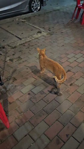 ข้าวต้มโกตี๋โภชนา