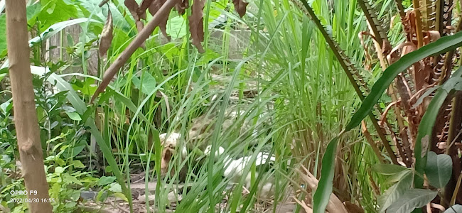 40 หมู่3 ตำบล โพธิ์กลาง เมือง นครราชสีมา 30000