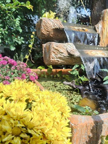 444 ซอย 11 ตำบล โพธิ์กลาง อำเภอเมืองนครราชสีมา นครราชสีมา 30000