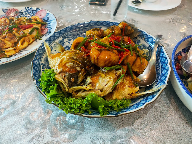 260 5 ราษฎร์อุทิศ 2 ซอย 5 ตำบลบ่อยาง อำเภอเมืองสงขลา สงขลา 90000