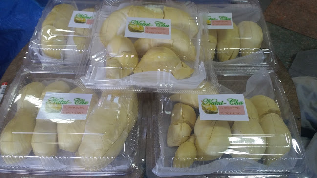 342 ถ. ไทรบุรี ตำบลบ่อยาง อำเภอเมืองสงขลา สงขลา 90000