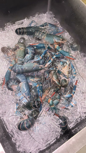 Opinii despre Beer Bank Rawai în Phuket - การบริการอาหารและที่พัก