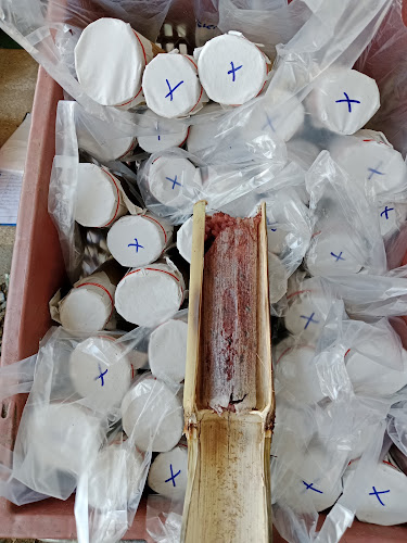 ร้านน้องกันต์ข้าวหลามซิ่ง(สาขานครสวรรค์) - อำเภอเมืองนครสวรรค์