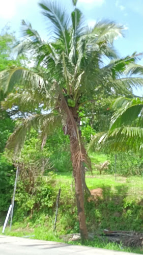 Thai Gallery Coffee Bar - การบริการอาหารและที่พัก