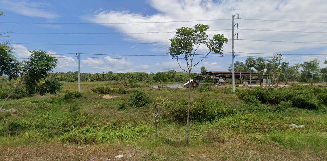 อาณาจักษ์สุวรรณ เนเวอร์แลนด์