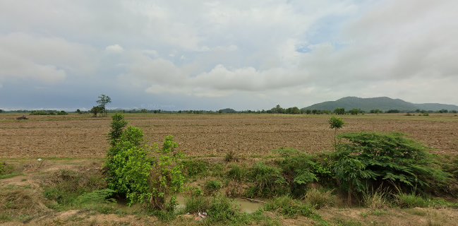 ร้าน ประดับลูกชิ้น