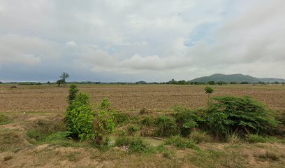 ร้าน ประดับลูกชิ้น