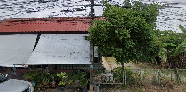 พีพีข้าวปลาแกะ