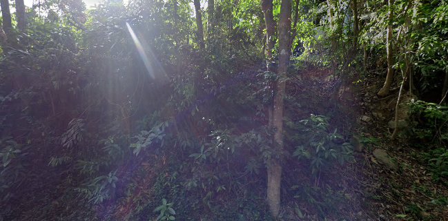 Bonkhao Restaurant ร้านอาหารบนเขา - การบริการอาหารและที่พัก